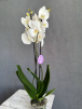 фото 5