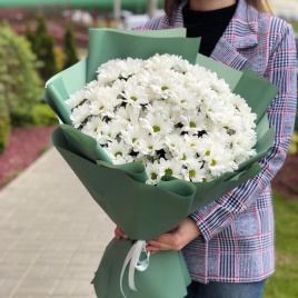 Букет з 15 кущових хризантем